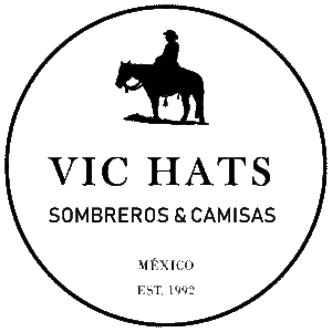 LOGO VICHATS